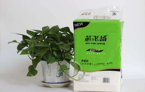 700g快猫成人APP免费青春版双层压花方巾纸